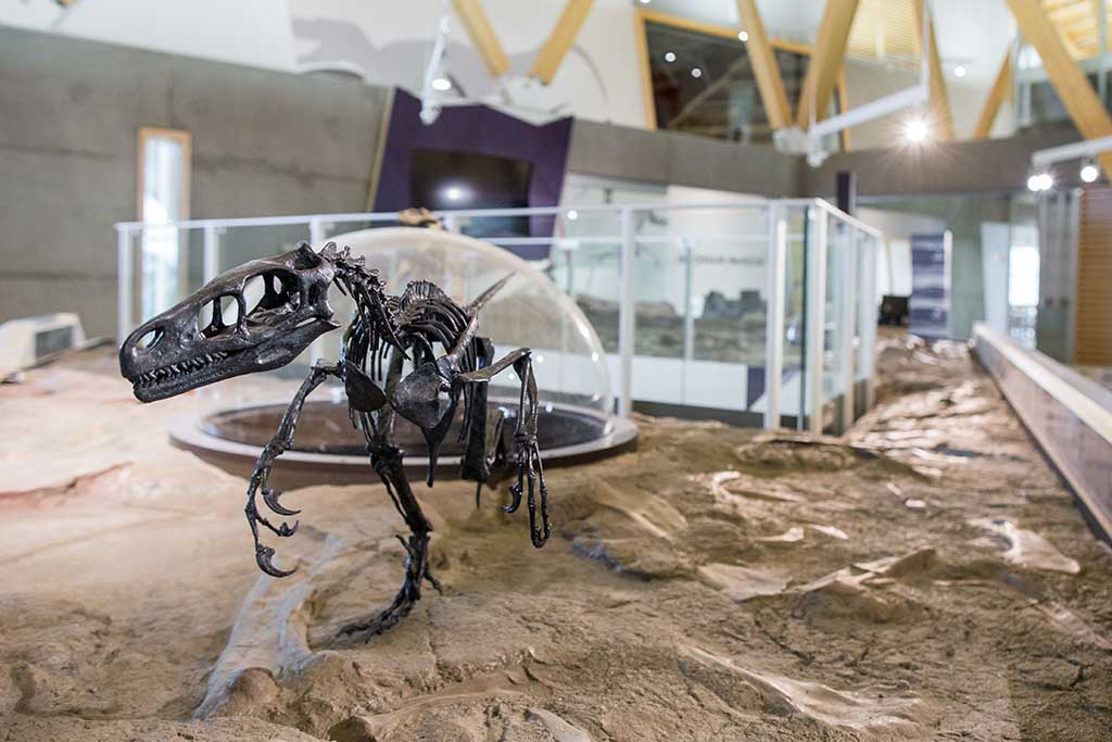 The Weird Dinosaurs Saga: Deinocheirus - Philip J. Currie Dinosaur Museum