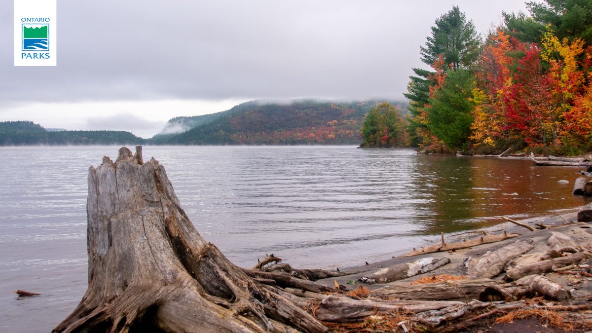 Driftwood Provincial Park Salut Canada